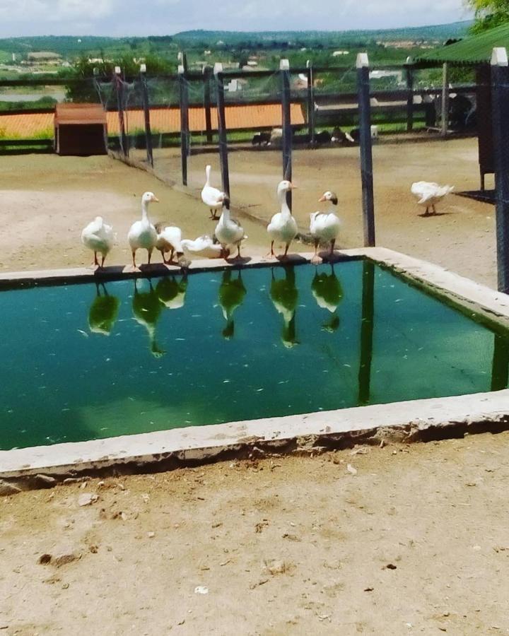 Ferienwohnung Flat Fazenda Monte Castelo-Ao Lado Da Piscina Gravatá Exterior foto