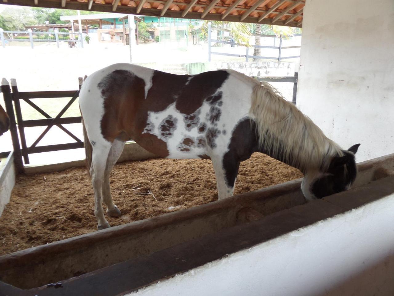 Ferienwohnung Flat Fazenda Monte Castelo-Ao Lado Da Piscina Gravatá Exterior foto